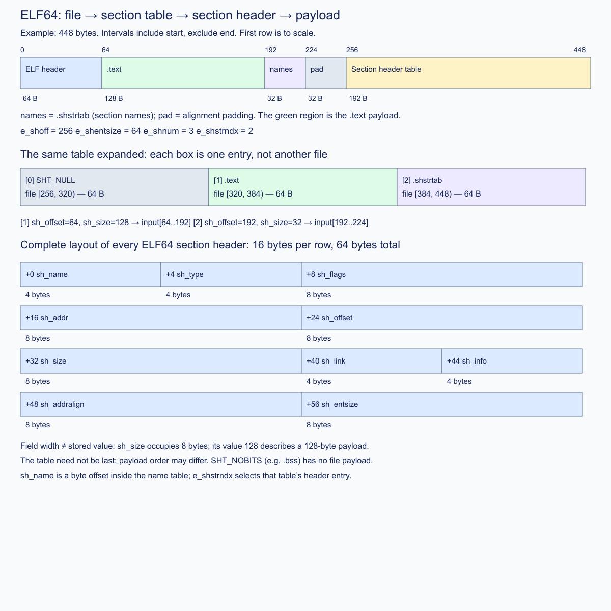ELF64 file regions, section table, and complete entry layout