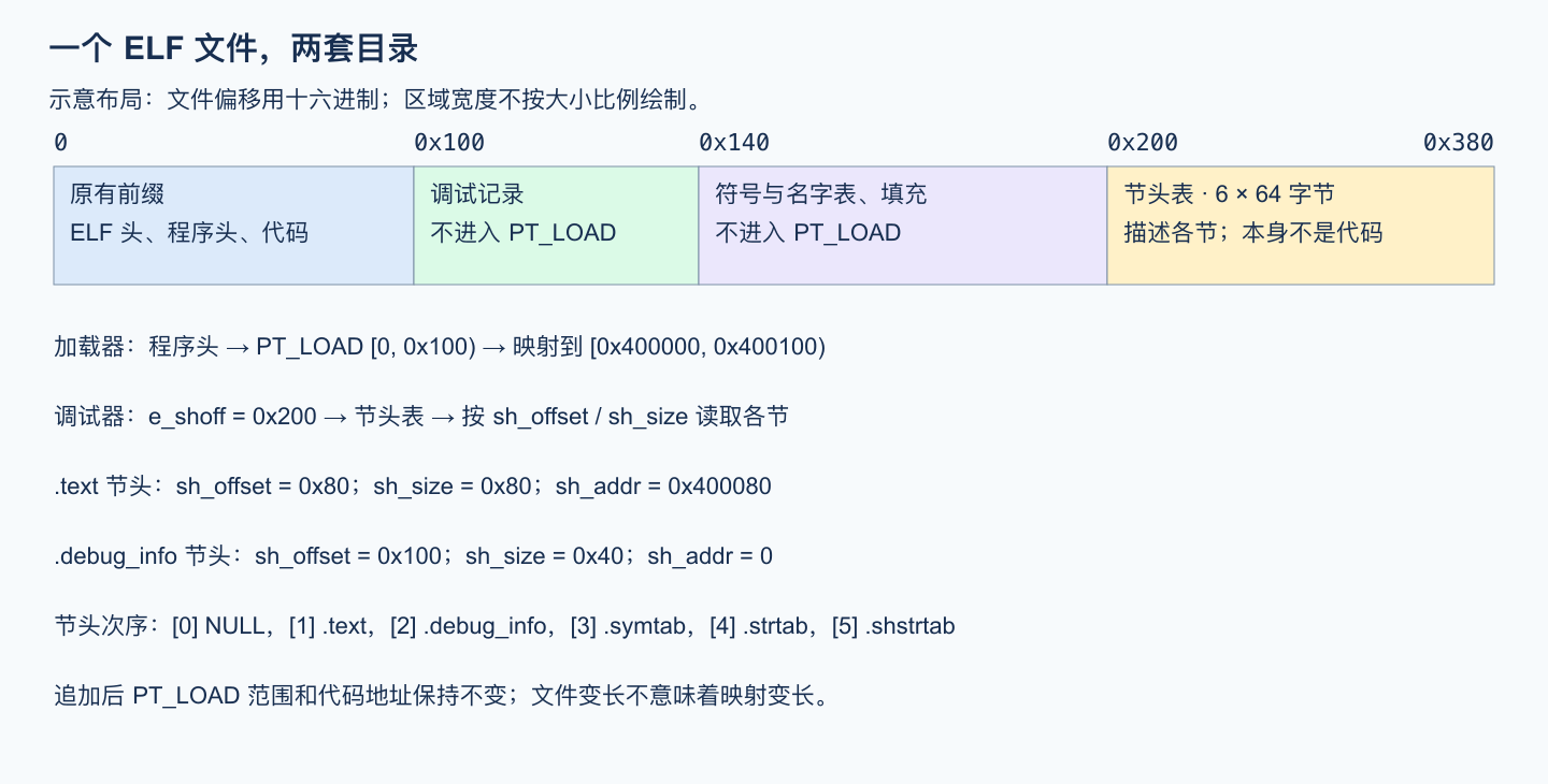 同一个 ELF 文件的加载前缀、调试记录、符号与名字表，以及节头表