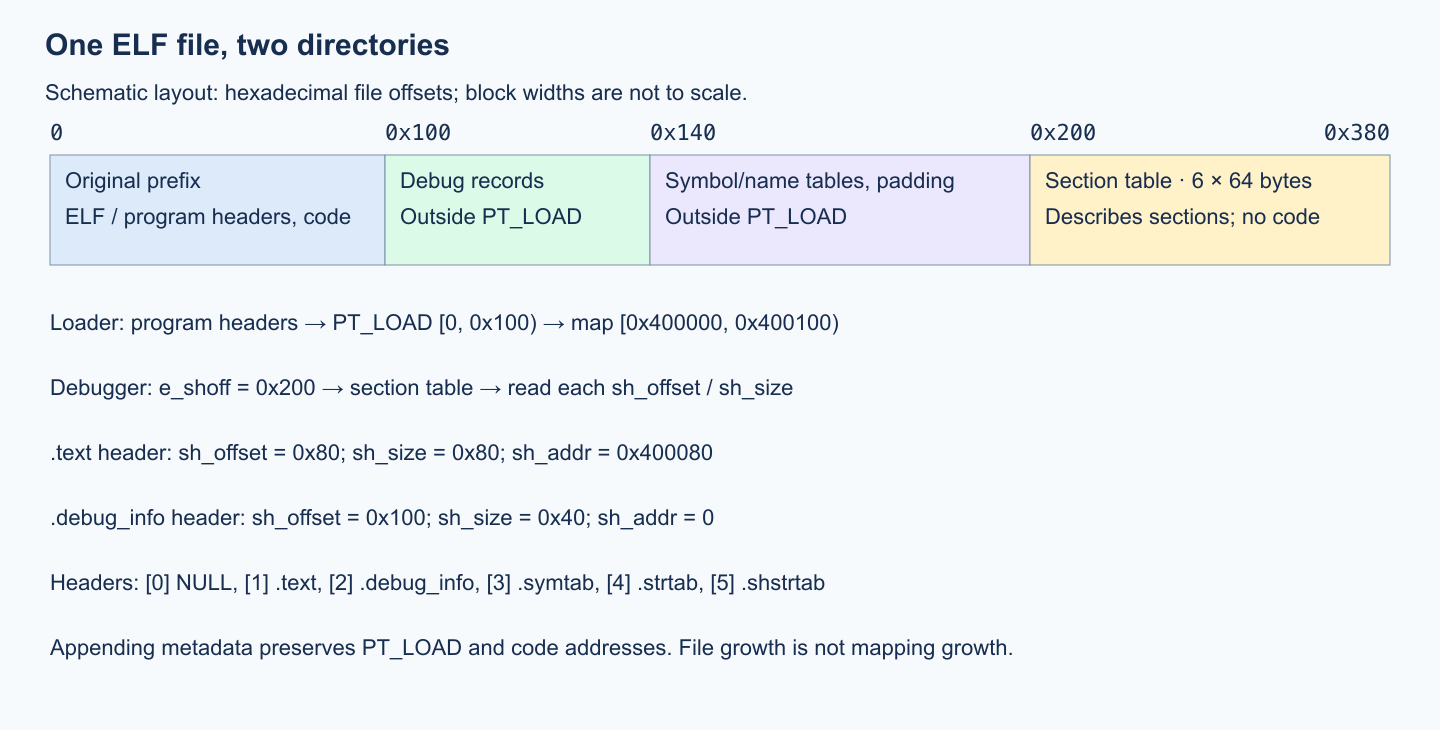 The ELF file's loaded prefix, debug records, symbol/name tables, and section header table