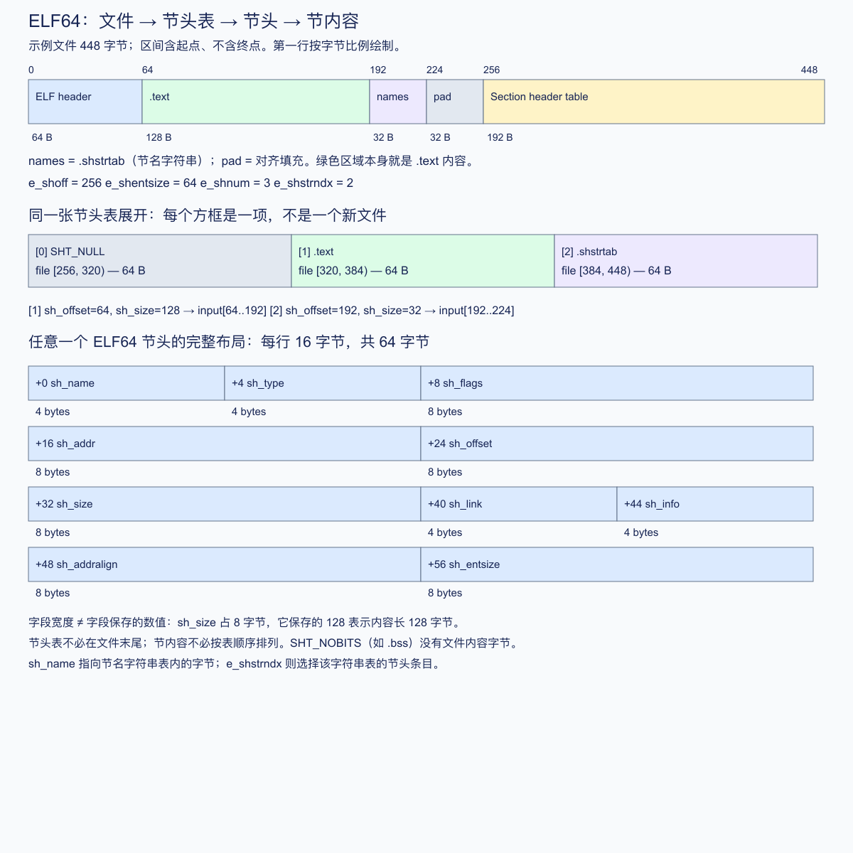 ELF64 文件区域、节头表与完整节头布局